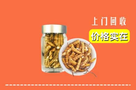 杭州西湖区回收散虫草
