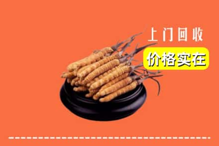 杭州西湖区回收冬虫夏草